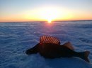 Фотография Алексей Емельянов