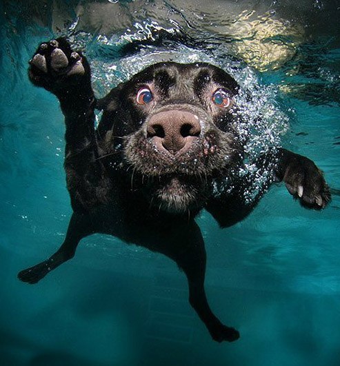 Ксюша Иваненко ♡♡♡ | Одесса