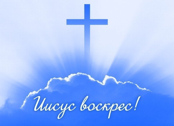 Наталия Кривицкая | Киев