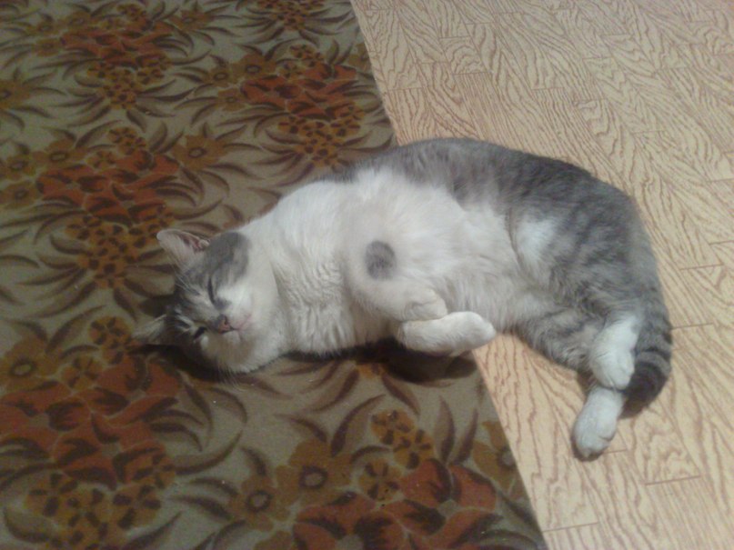 Алексей Яковлев | Москва