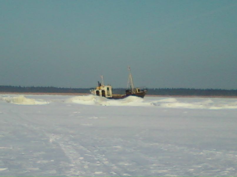 Владимир Мамаев | Ильинский