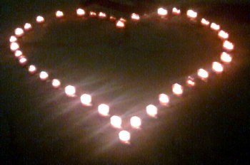 Вікторія Кухаришина | Бережанка