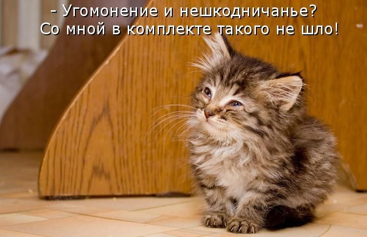 Вольга Вольная *oSTAp* | Алматы