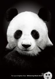 Павел Лысевич | 