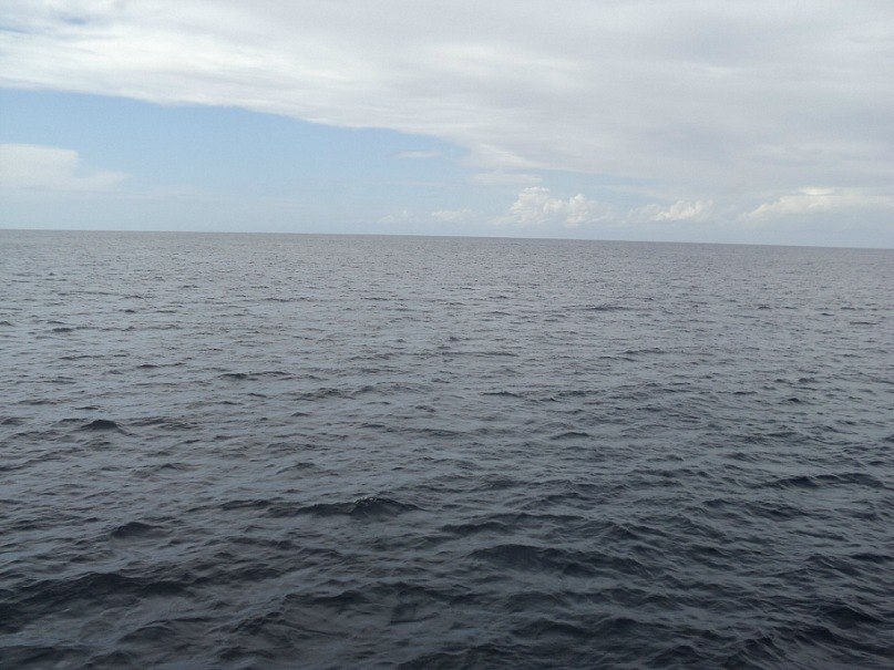 Евгений Трофимов | Вельск