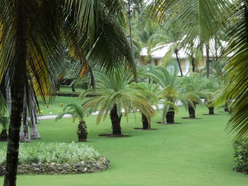 Евгений Трофимов | Вельск