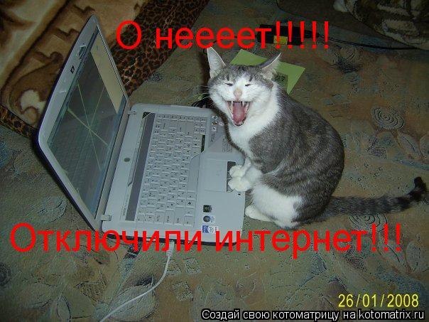 №88, Микола Бліщ, 41 год, Броды №88, Микола Бліщ, 41 год, Броды