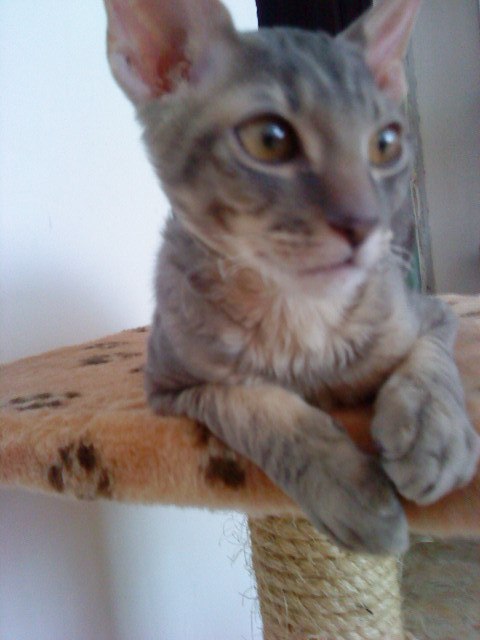 Анна Ткач | Калининград