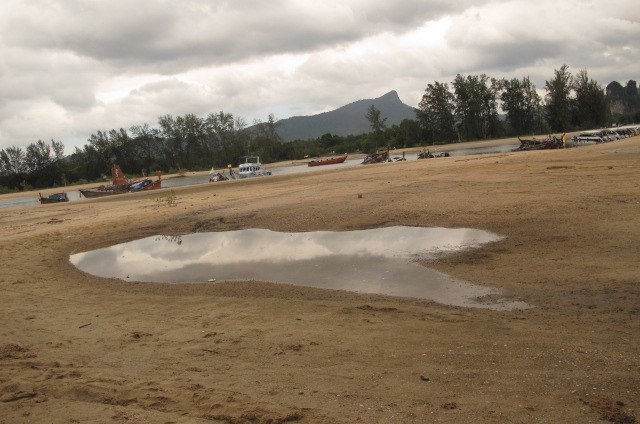 Елизавета Городничева Alice'sadveturesinwonderLand | Москва