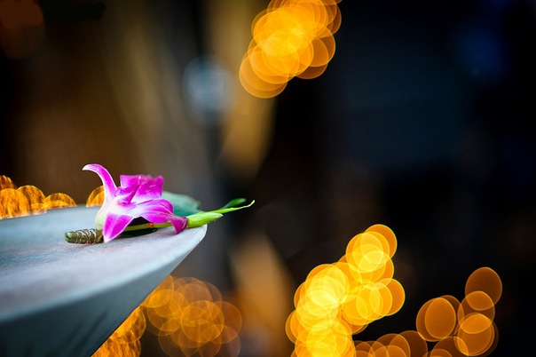 №80, Наталья Кравченко, Москва №80, Наталья Кравченко, Москва