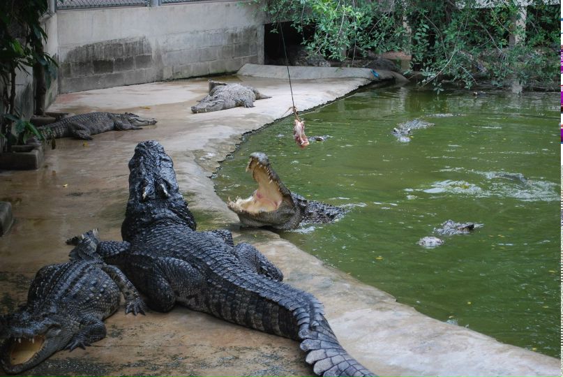 Сергей Нескин | Минск