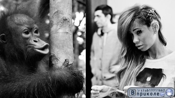 Роман Карлов | Москва