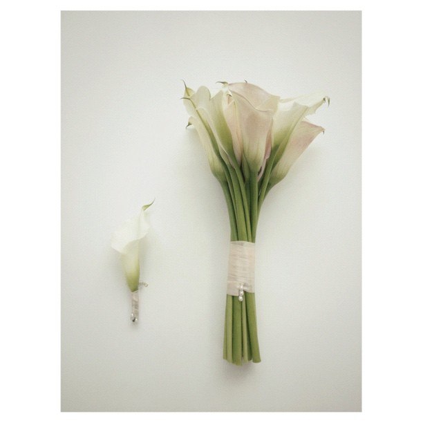 Галина Федосеева | Москва