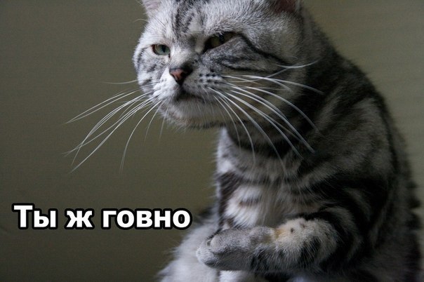 Nikita Дымов | Санкт-Петербург