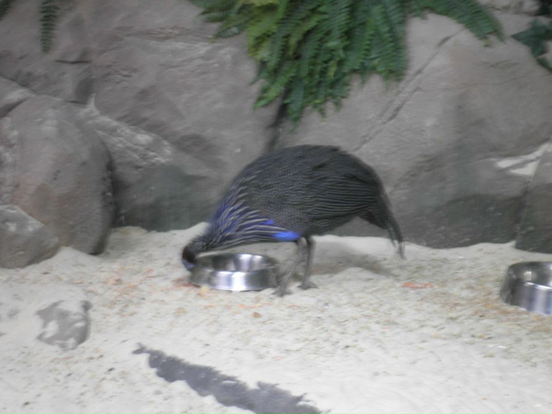 Настюша Мосина | Москва