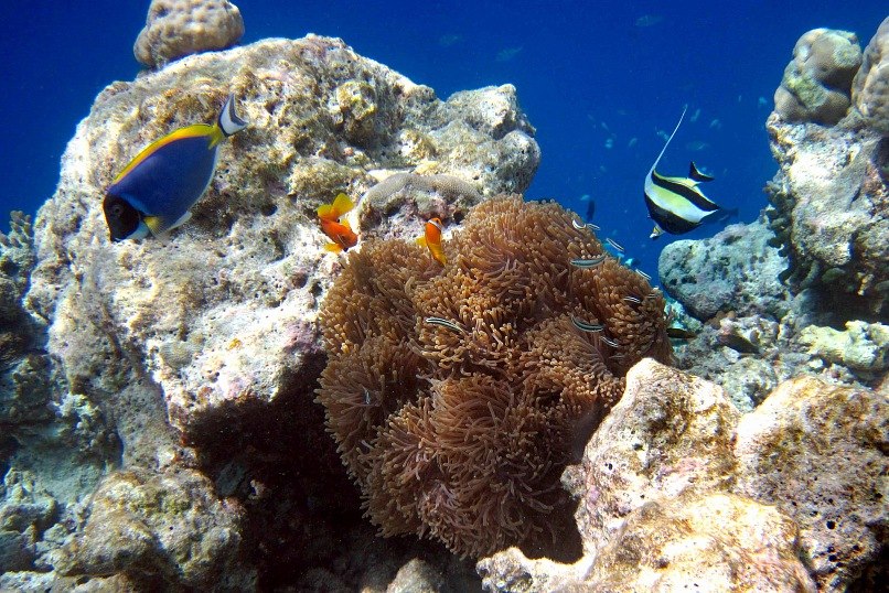 Ирина Малахова | Петрозаводск