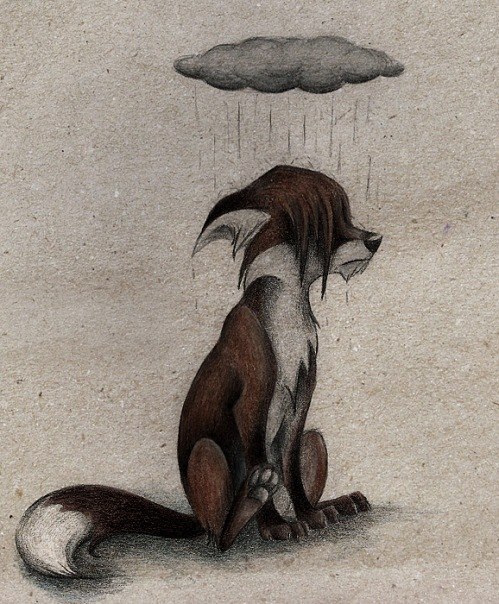 Mariya Komarova [little_wolf] | Казань