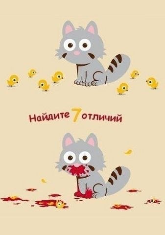 Мария Романова | Краснодар