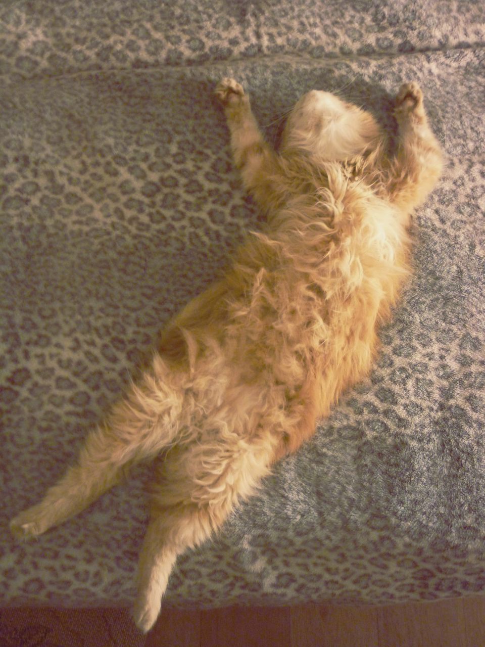 Алина Овчинникова | Санкт-Петербург