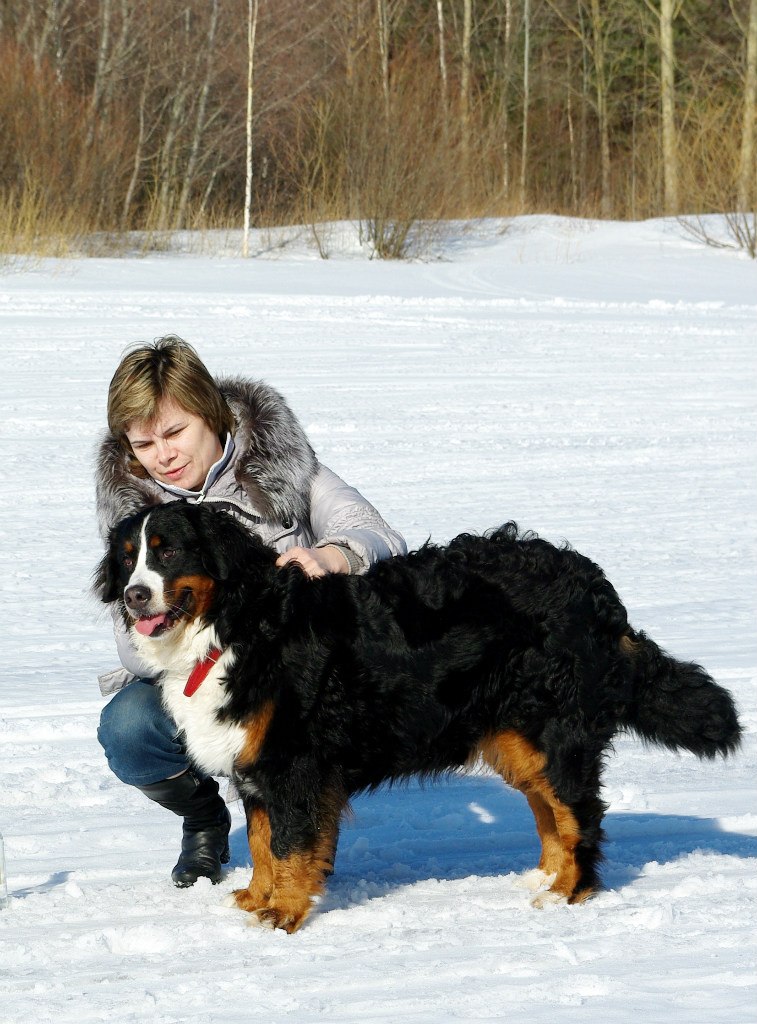 Дмитрий Андреев | Череповец