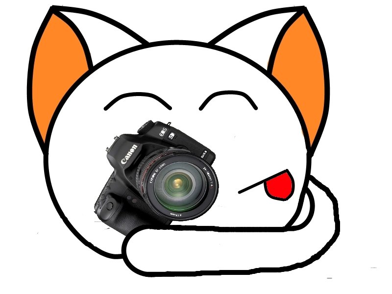 Анна Воргулиес | Тюмень