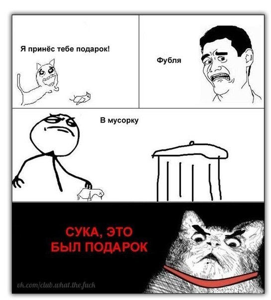 Котофалк Нимуро ome | Düsseldorf