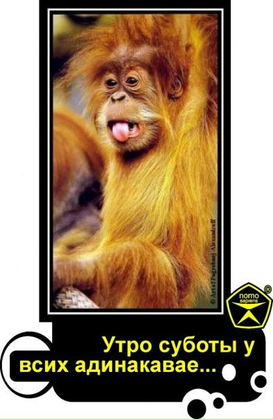 №18, Серёжка Точинов, 35 лет, Санкт-Петербург, Россия №18, Серёжка Точинов, 35 лет, Санкт-Петербург, Россия