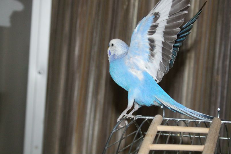 Лаура Кудрявцева for ever aloe | Москва