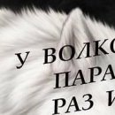 №55, Катруся Остапчук №55, Катруся Остапчук