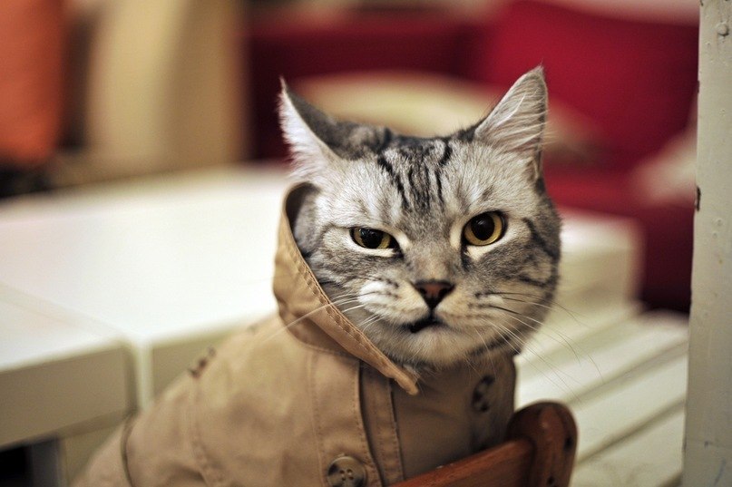 Катя Мусечкина | Санкт-Петербург