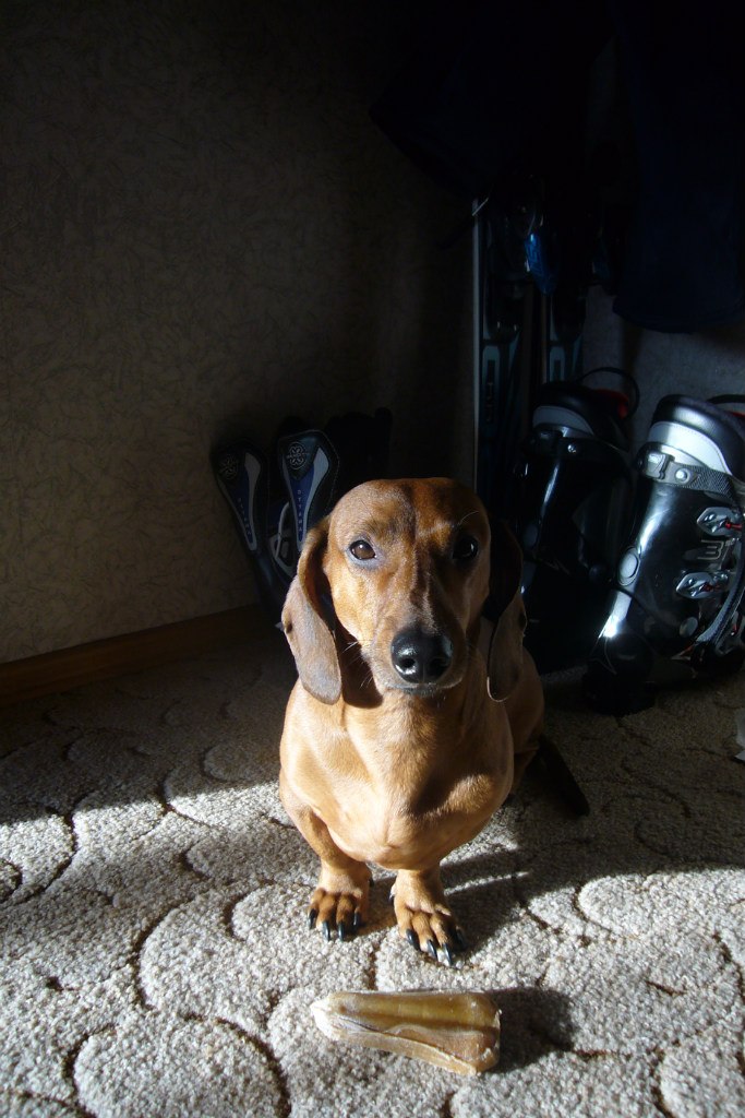 Максим Перепелица | 