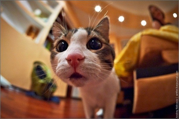 Настя Пегова | Москва