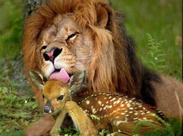 Рита Гарифуллина | Казань