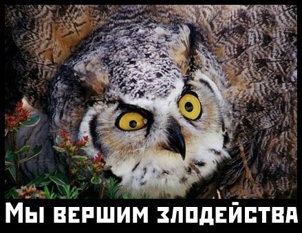 №75, Дарья Калашникова, Новосибирск №75, Дарья Калашникова, Новосибирск