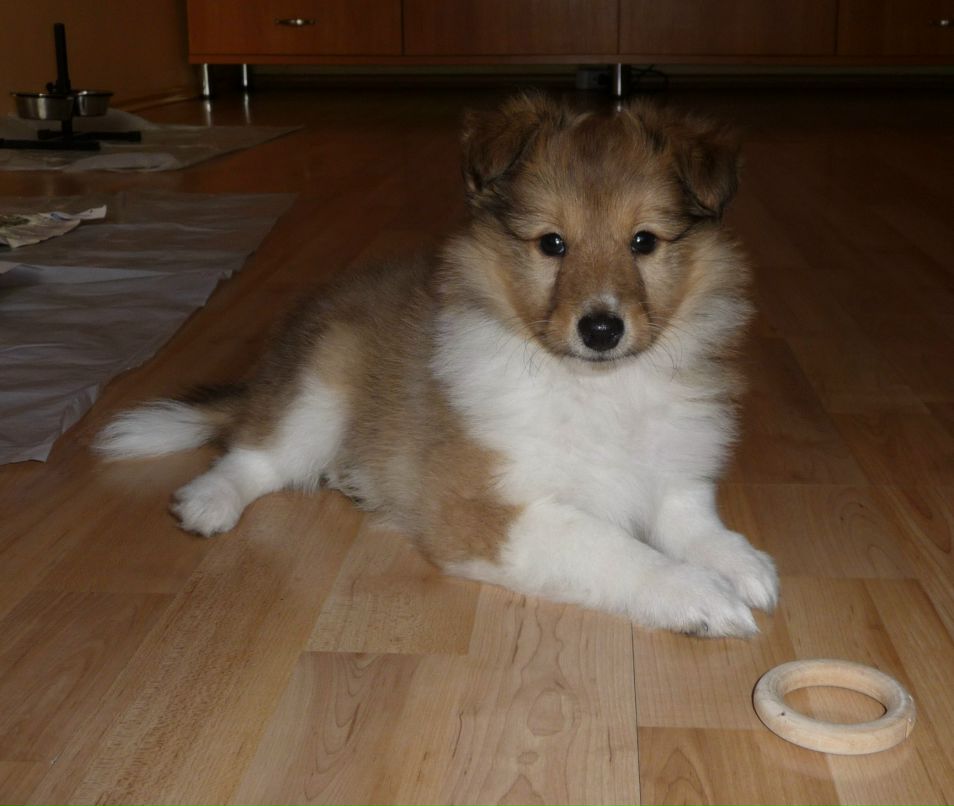 Елена Меняйло | Санкт-Петербург