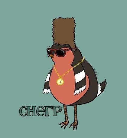 Дмитрий Склюев | Железногорск