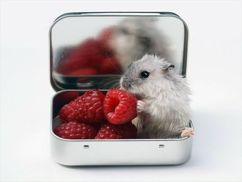 №105, Борис Антонов, 40 лет, Рязань №105, Борис Антонов, 40 лет, Рязань