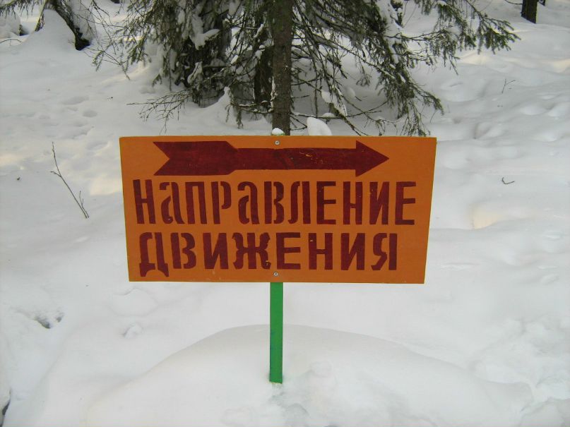 Виктория Бабикова | 