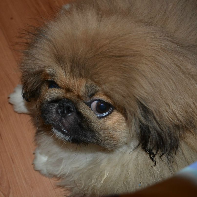 Николай Никонов _Юрич_ | Тюмень