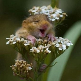 №32, Ольга Тарасова, Москва №32, Ольга Тарасова, Москва