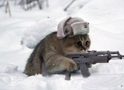 Наталия Щепина *V_i_V_a* | 