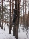 Фотография Наталья Леонова