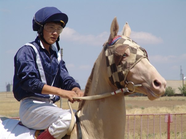 Борис Инчаев | Сарпа