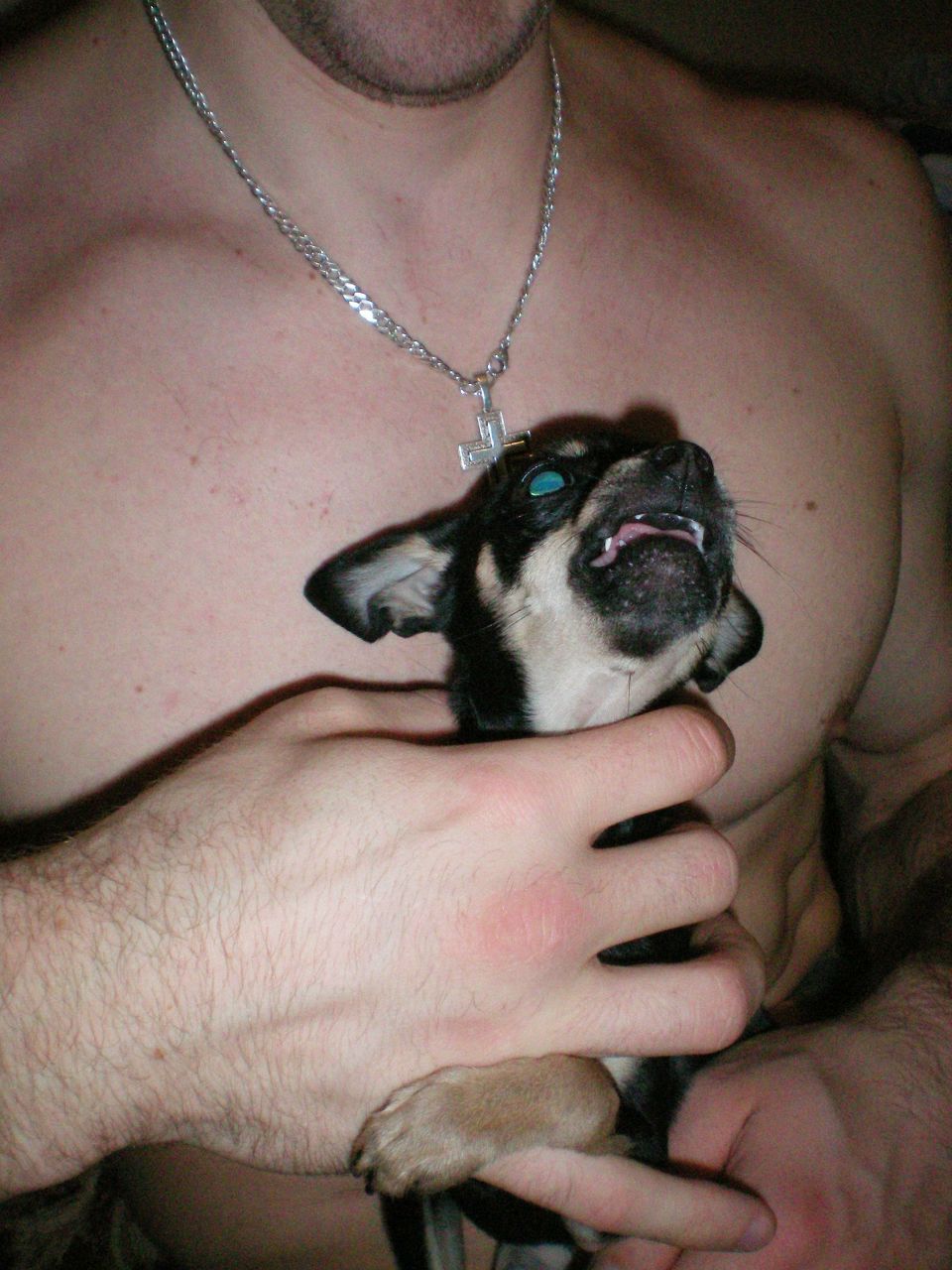 Александр Садаков | Пермь