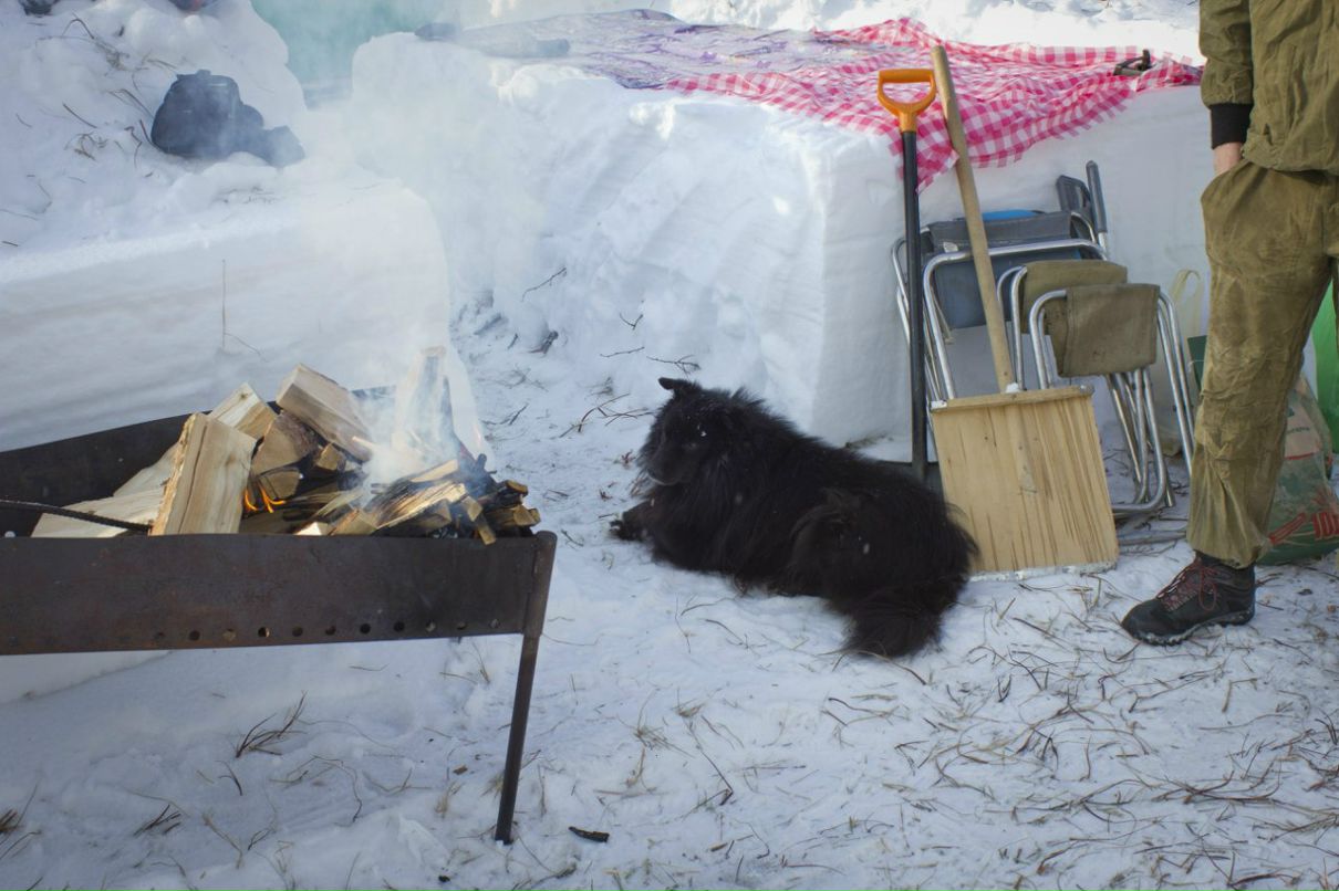 Сергей Мудрук | 