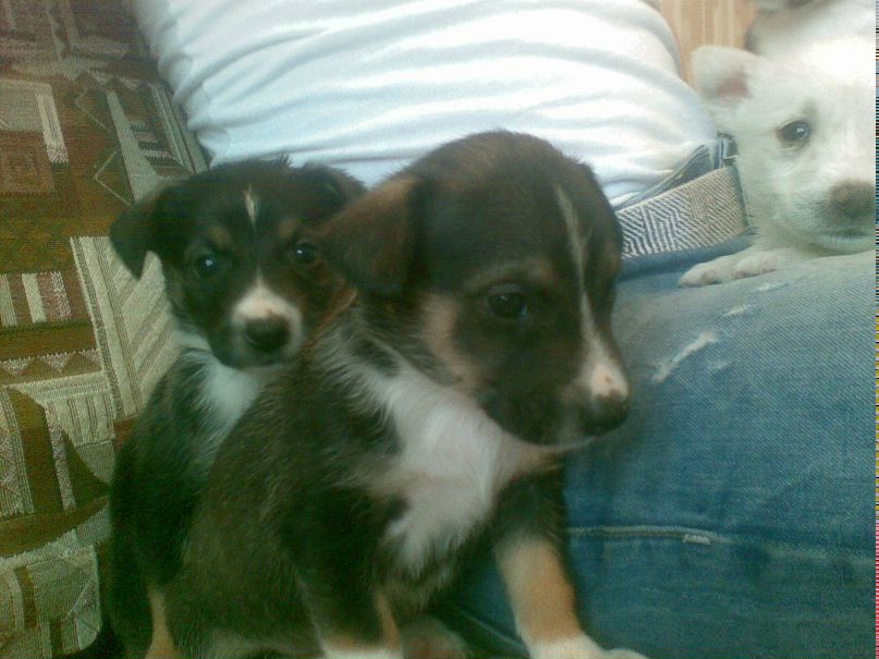 Василий Рожков | Кубинка