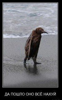 Андрюха Куга | Петрозаводск