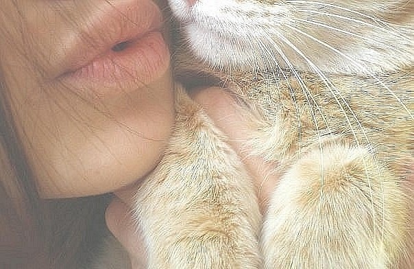 №9, Катюша Долматова №9, Катюша Долматова