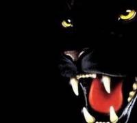 Инна Турчина 