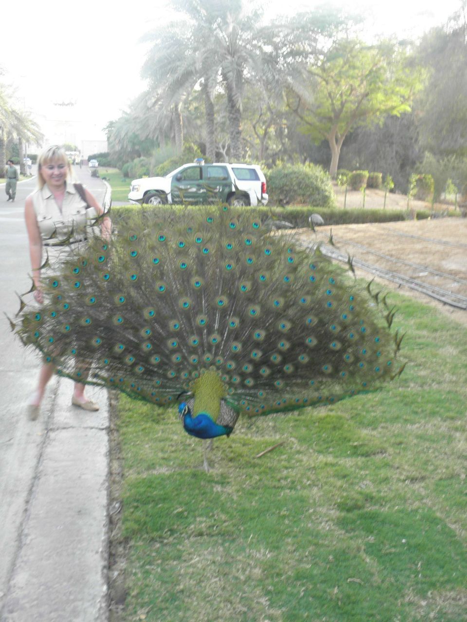 Вероника Молчанова | Новосибирск